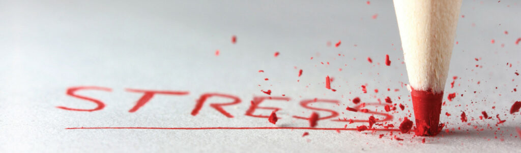 Luminis Innovation Kft.